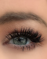 Willow Refill Set- 16mm